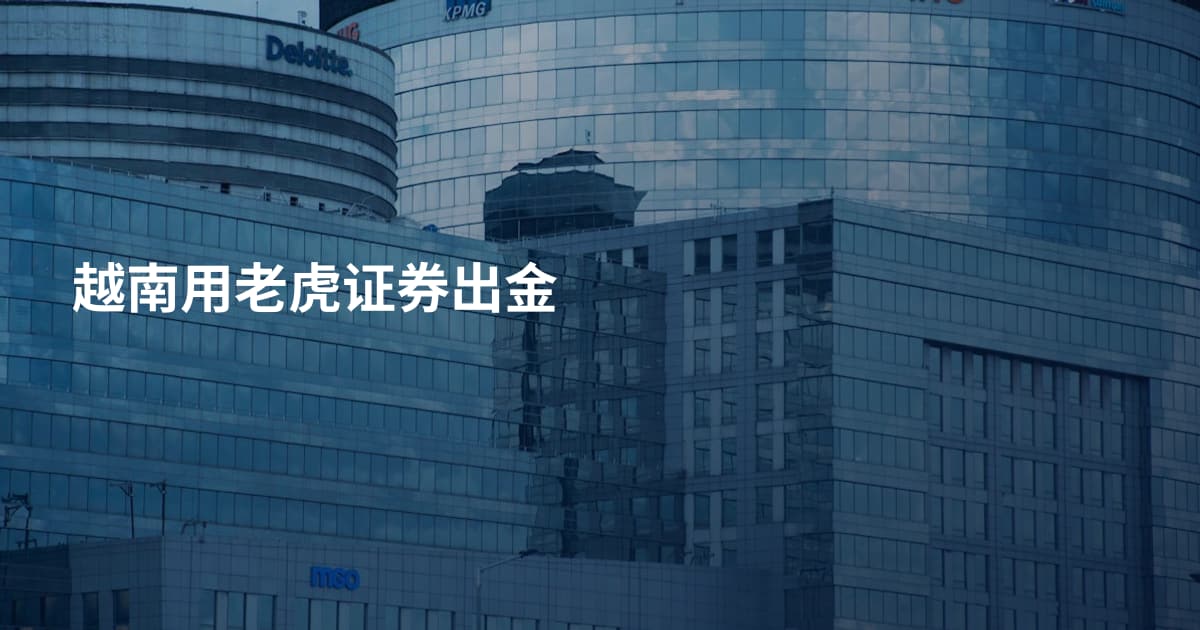 越南用老虎证券出金