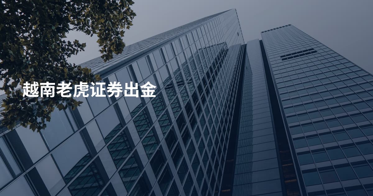 越南老虎证券出金