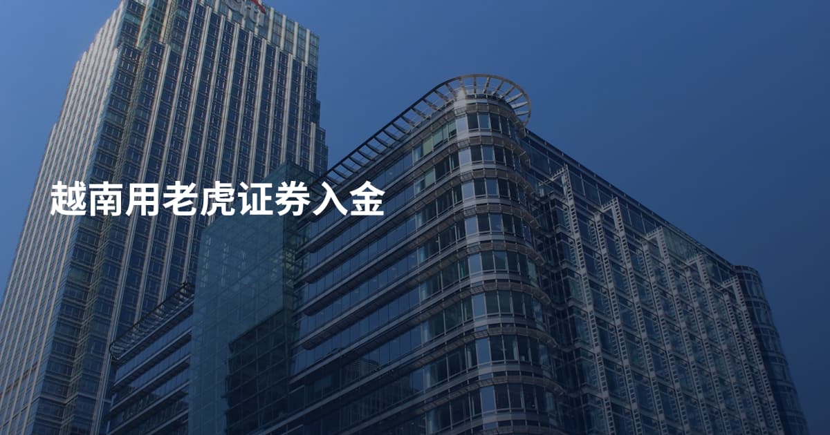 越南用老虎证券入金