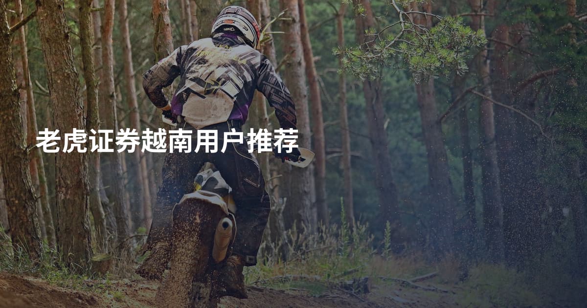 老虎证券越南用户推荐