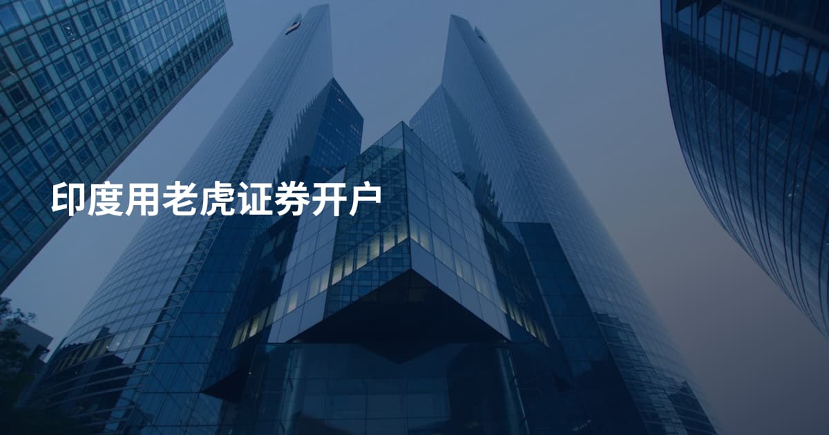 印度用老虎证券开户