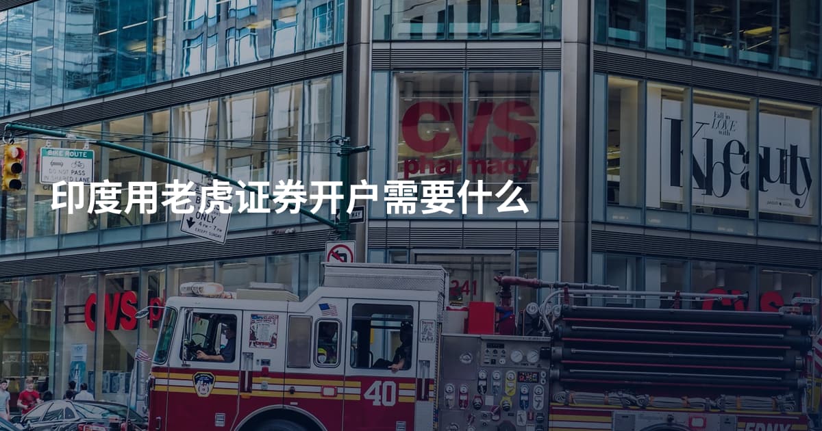 印度用老虎证券开户需要什么