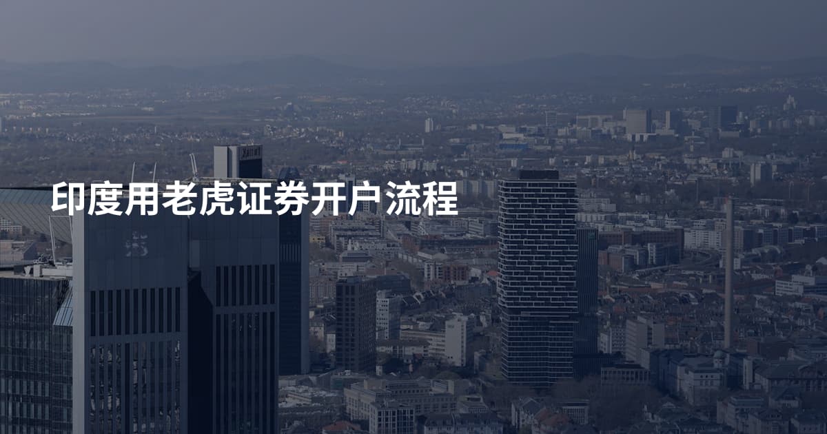 印度用老虎证券开户流程