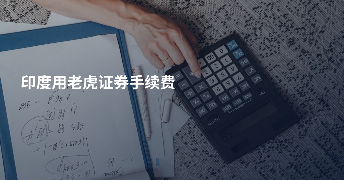 印度用老虎证券手续费