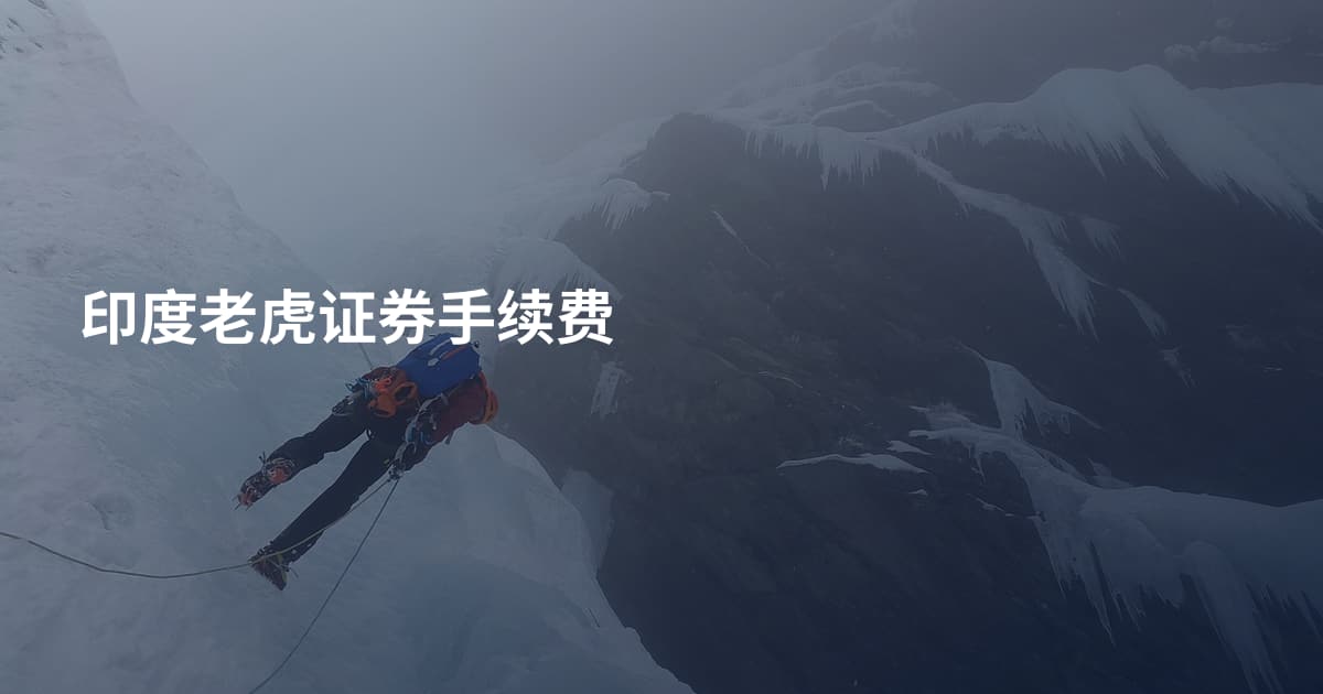 印度老虎证券手续费