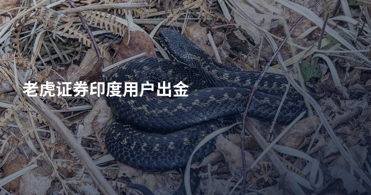 老虎证券印度用户出金