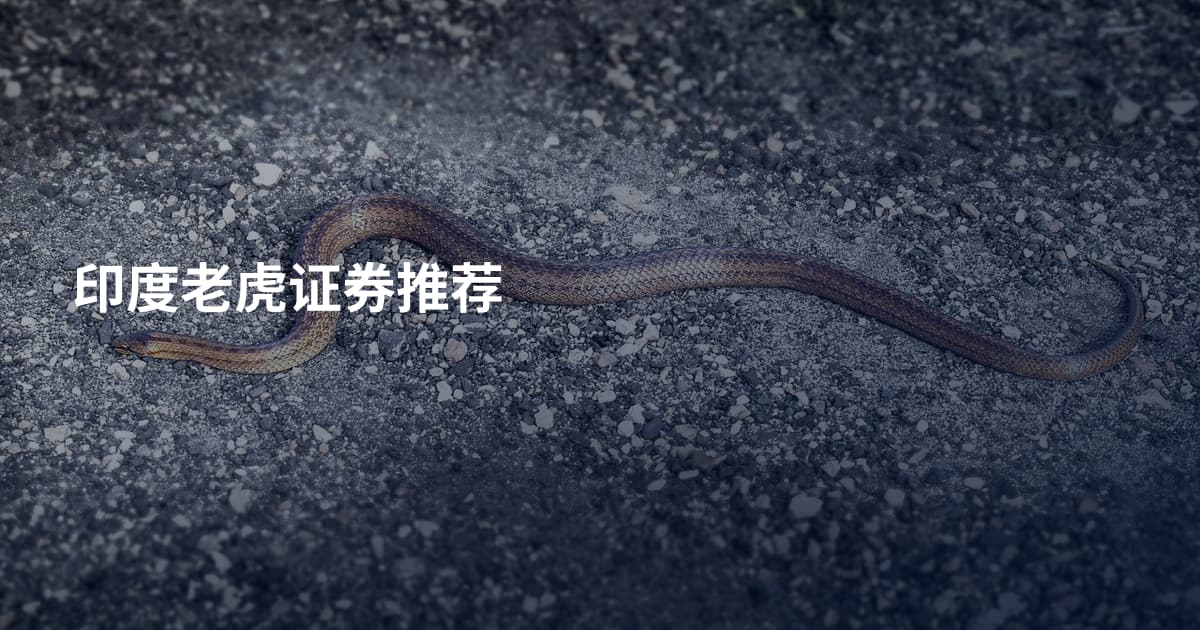 印度老虎证券推荐