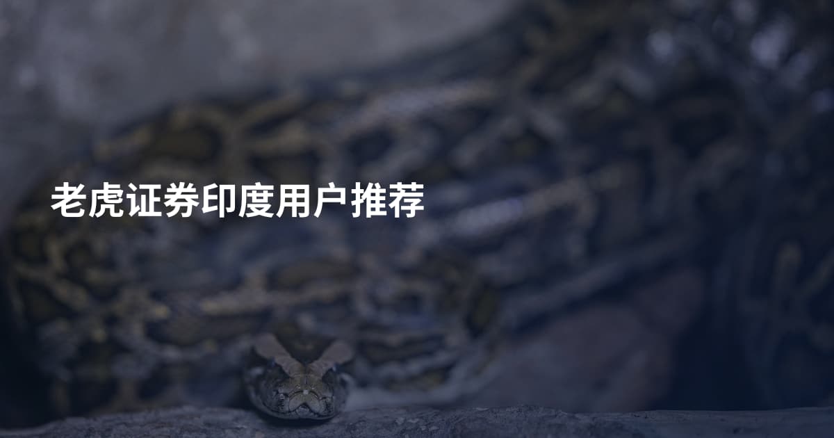 老虎证券印度用户推荐