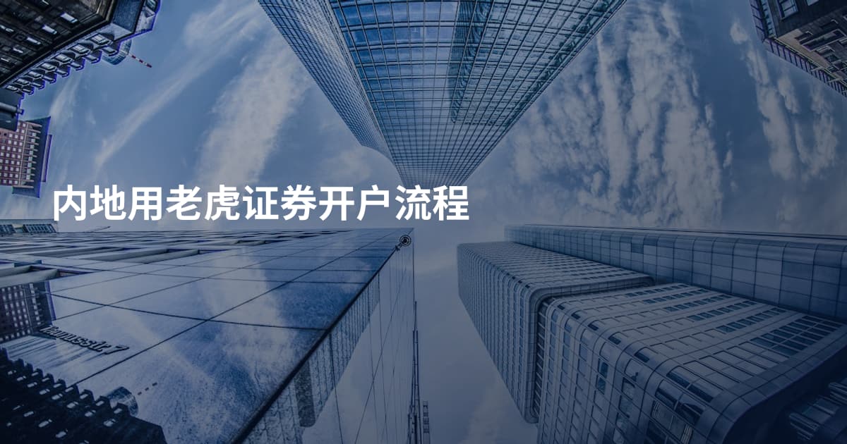 内地用老虎证券开户流程