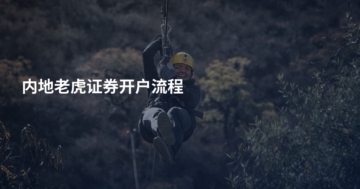 内地老虎证券开户流程