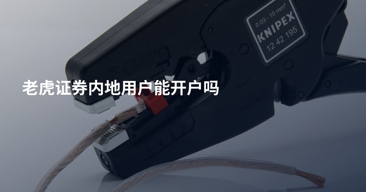 老虎证券内地用户能开户吗