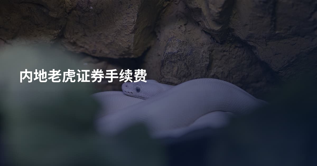 内地老虎证券手续费