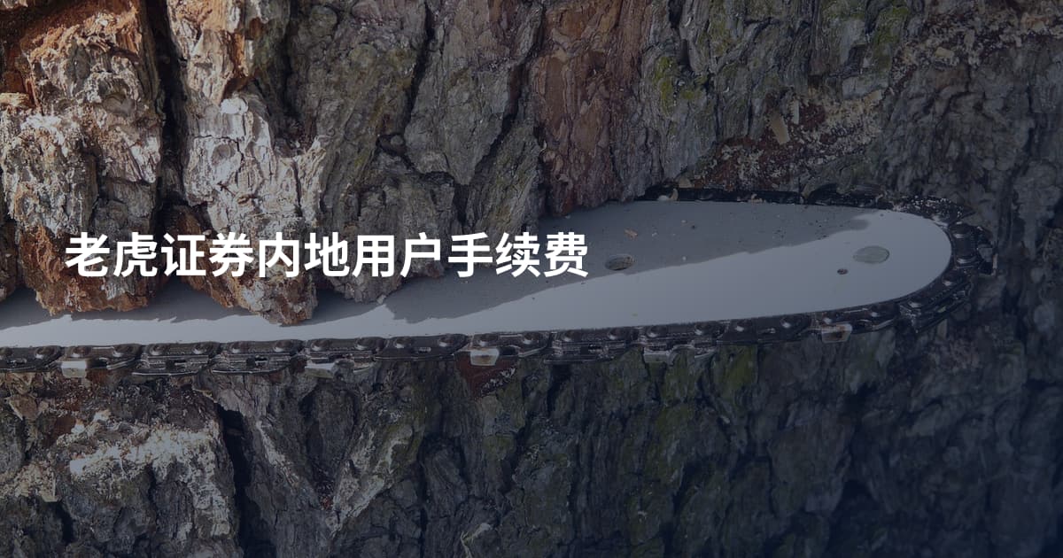 老虎证券内地用户手续费