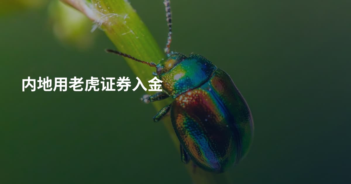 内地用老虎证券入金