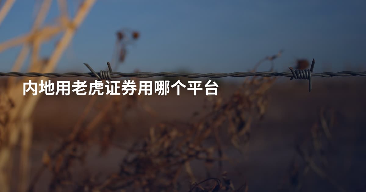 内地用老虎证券用哪个平台