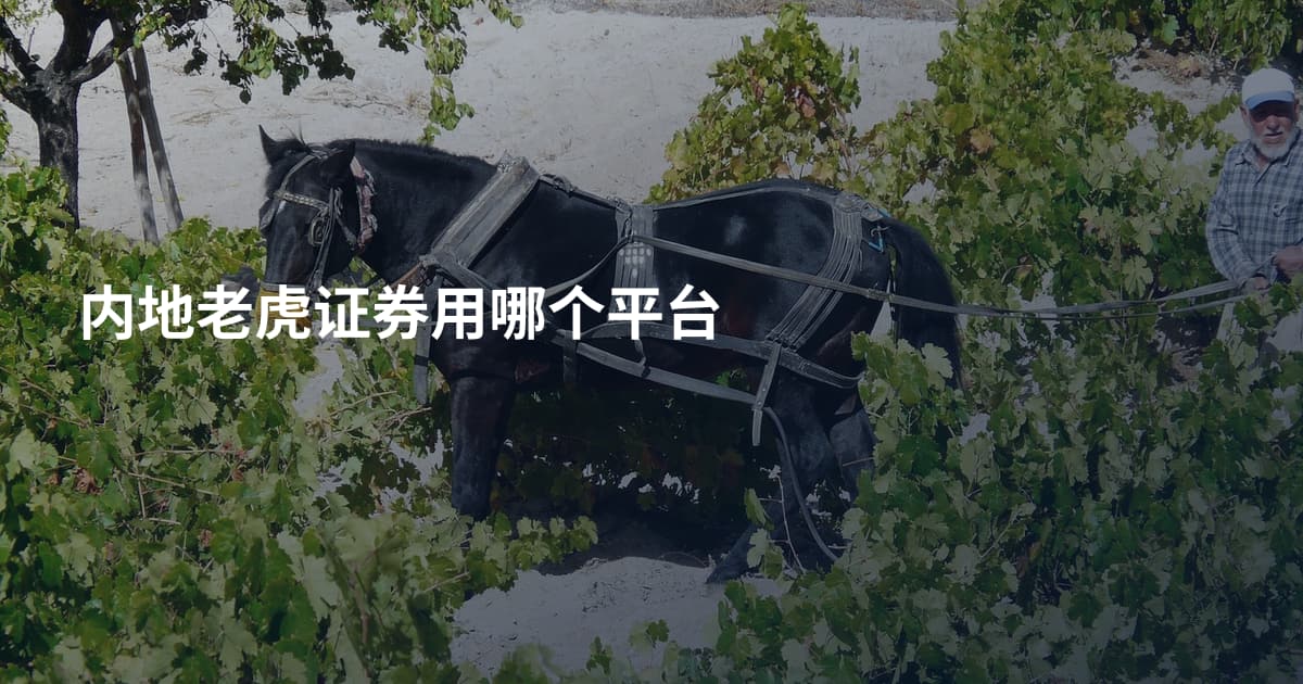 内地老虎证券用哪个平台