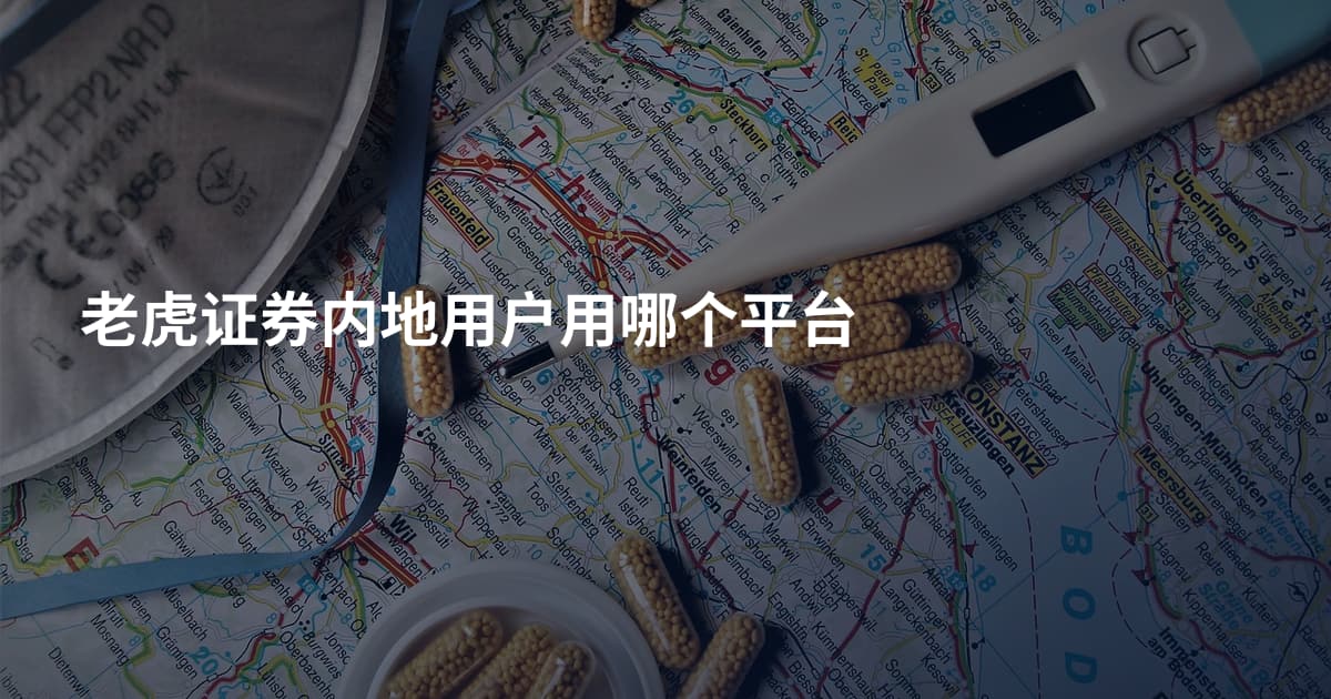 老虎证券内地用户用哪个平台