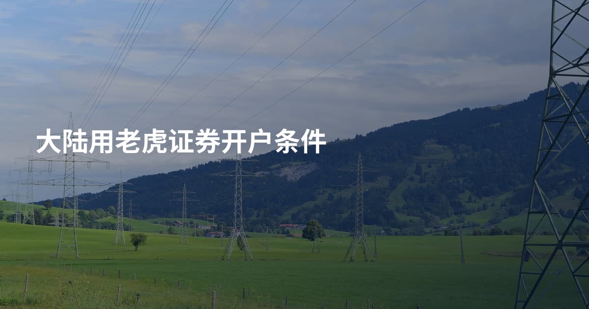 大陆用老虎证券开户条件