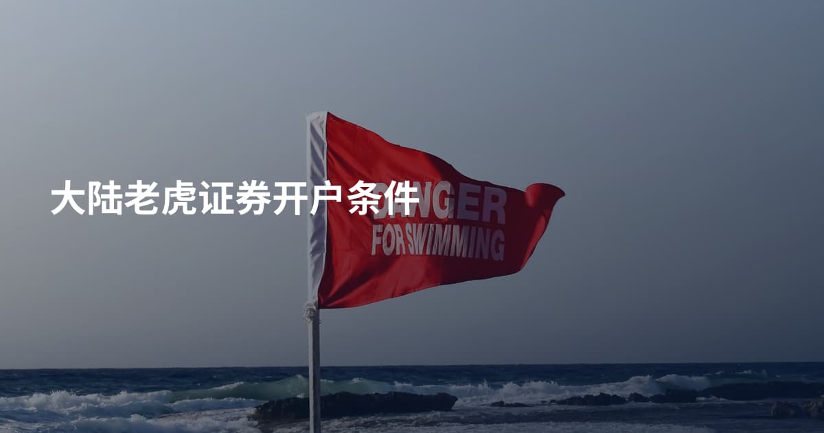 大陆老虎证券开户条件