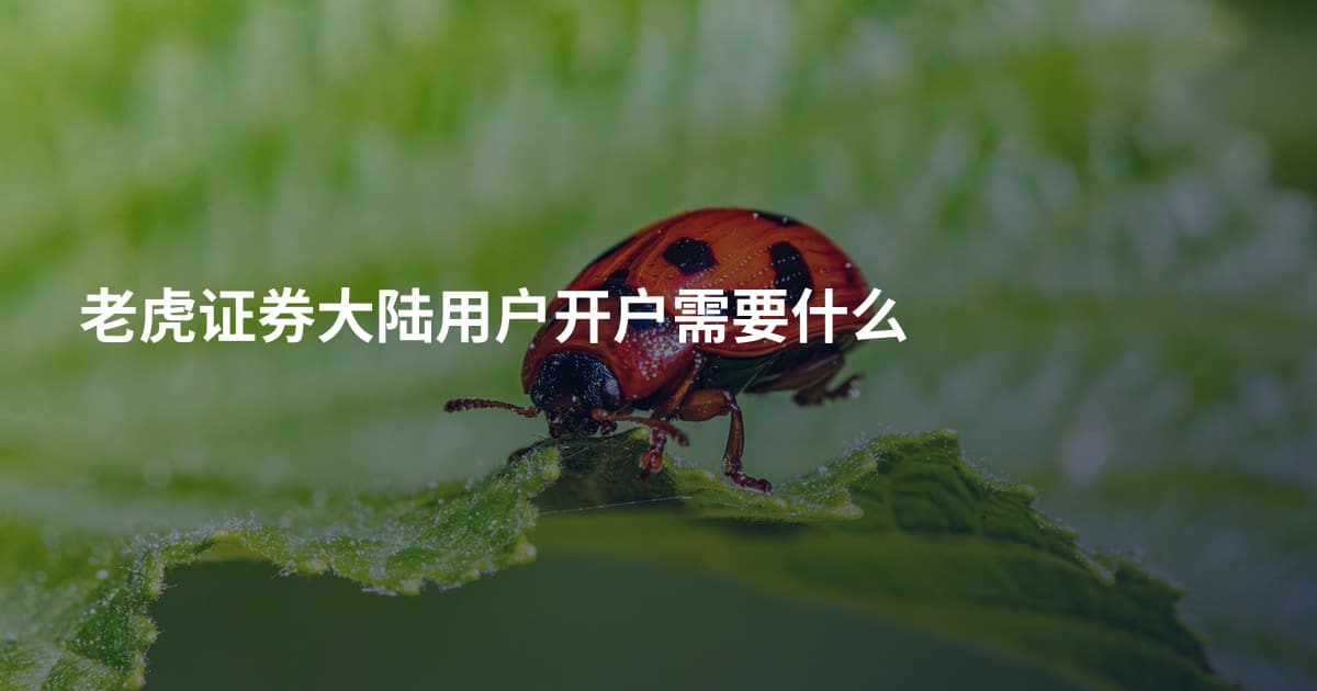 老虎证券大陆用户开户需要什么