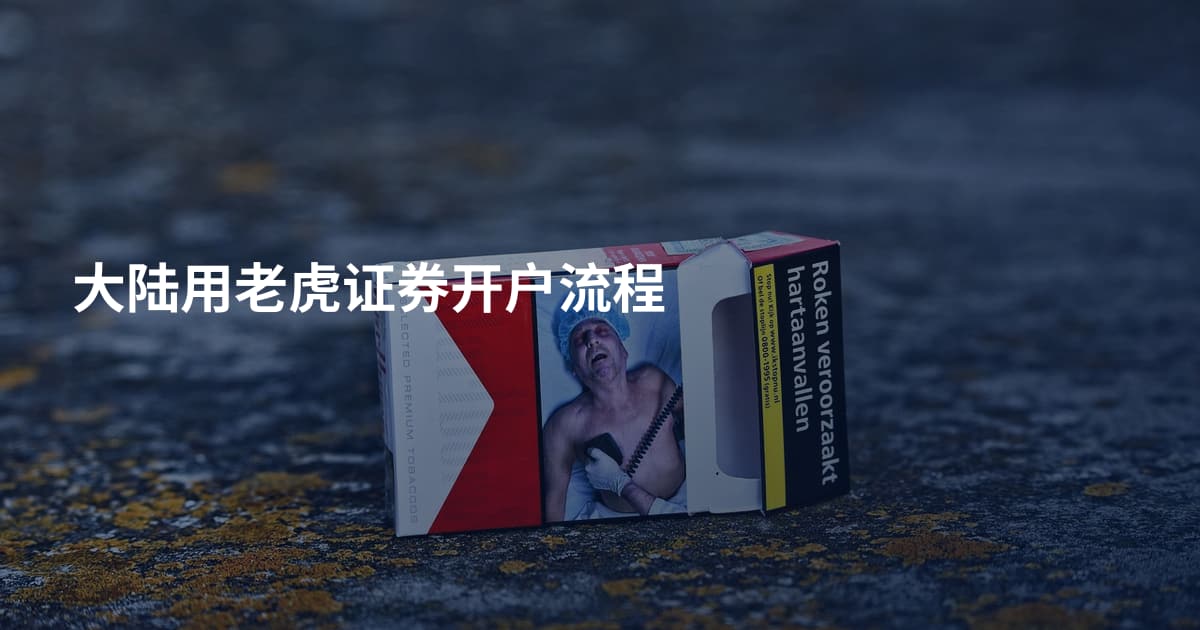 大陆用老虎证券开户流程