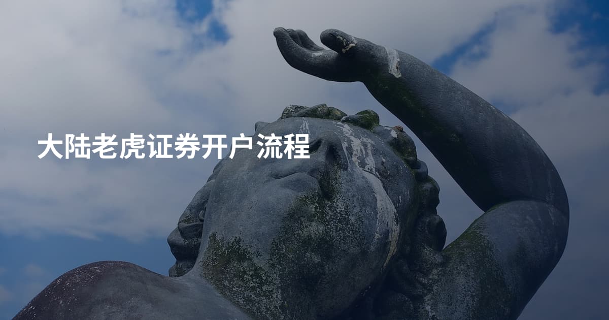 大陆老虎证券开户流程
