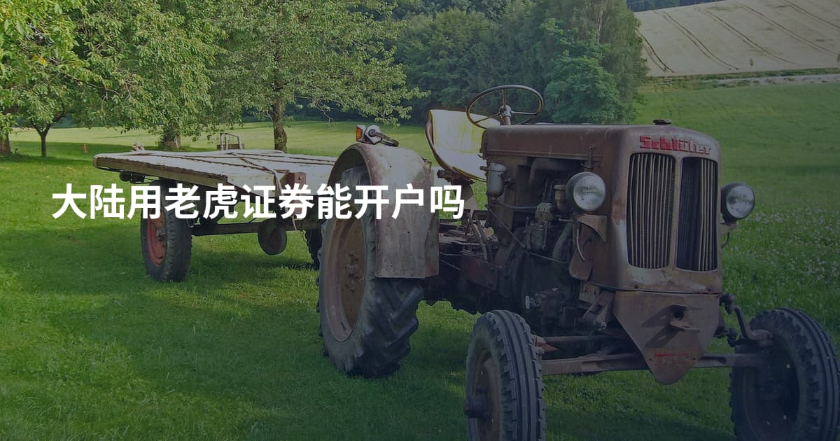 大陆用老虎证券能开户吗