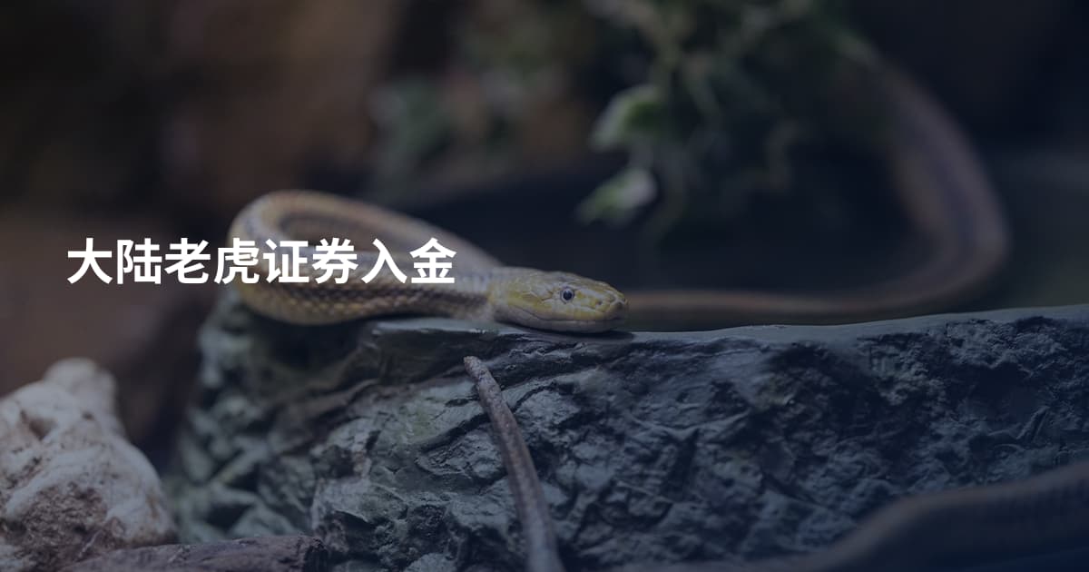 大陆老虎证券入金