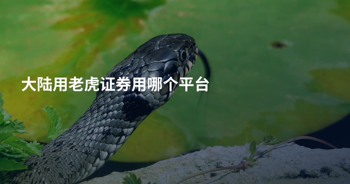 大陆用老虎证券用哪个平台