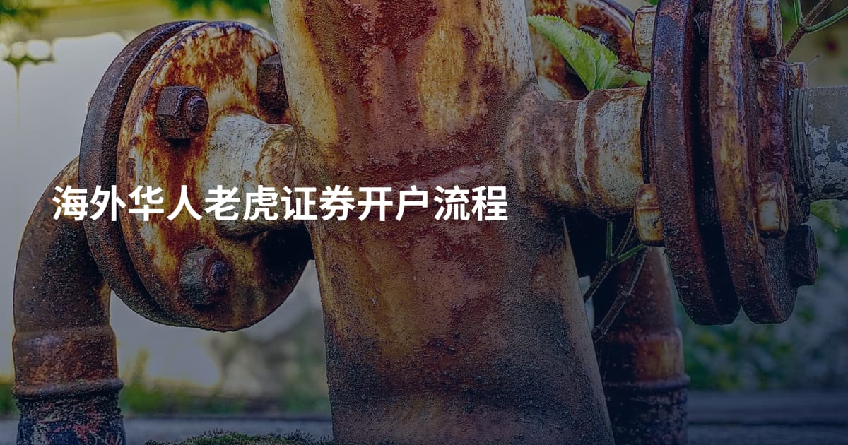 海外华人老虎证券开户流程