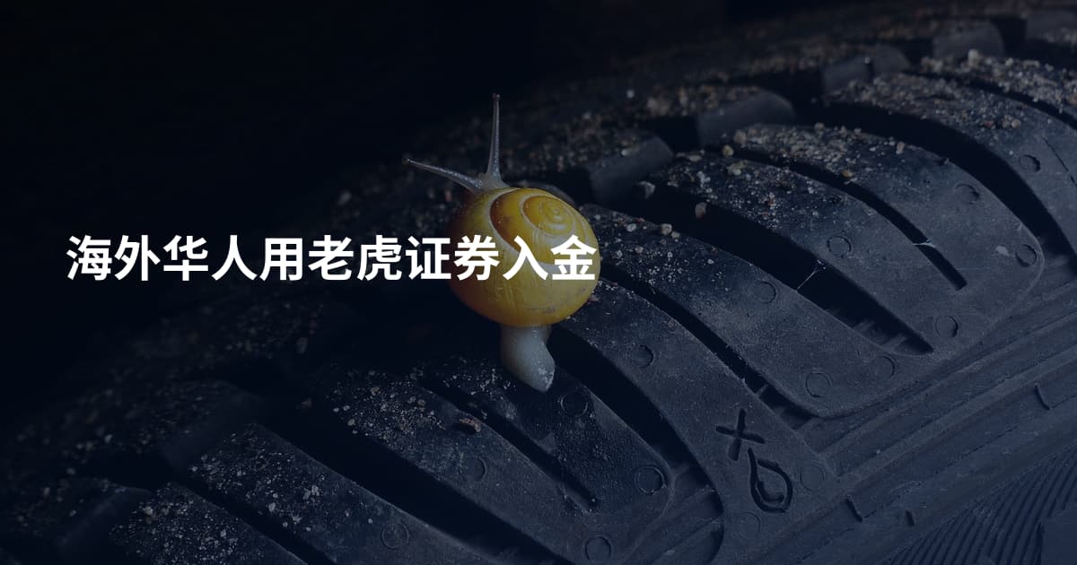 海外华人用老虎证券入金