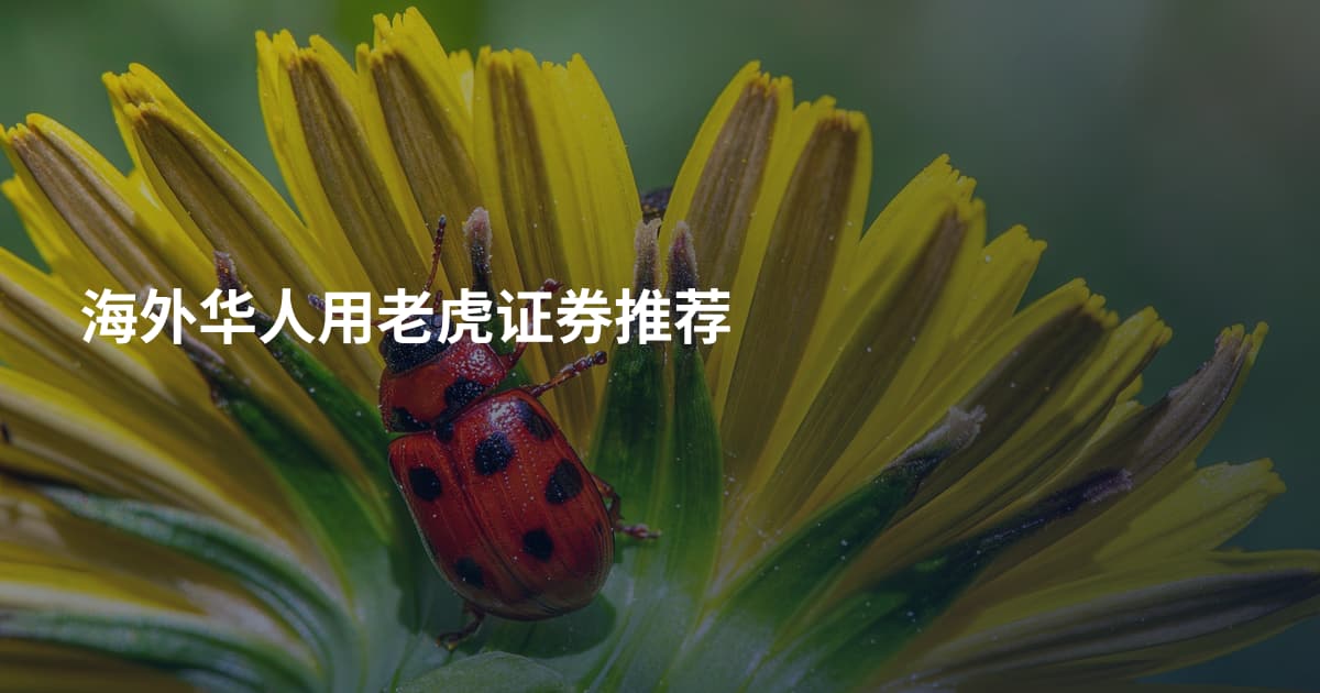 海外华人用老虎证券推荐