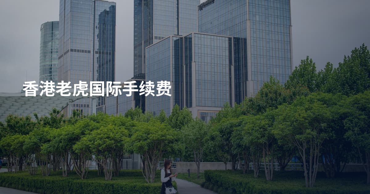 香港老虎国际手续费