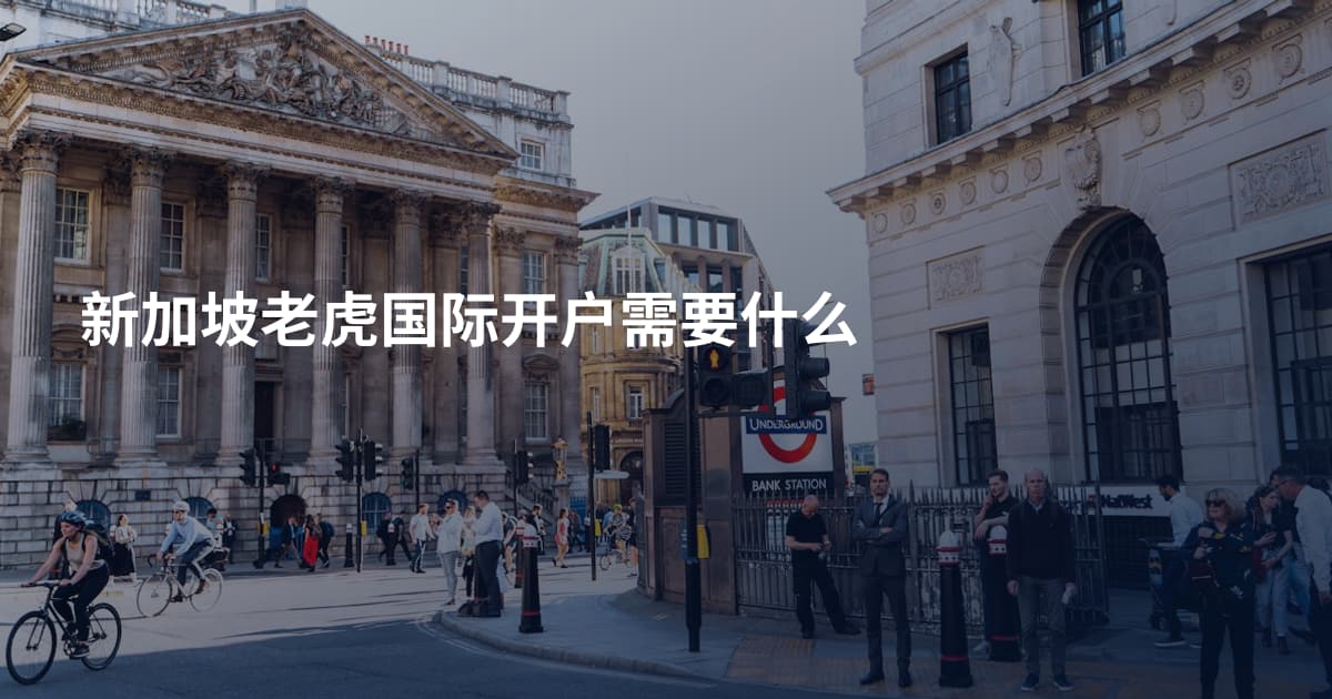 新加坡老虎国际开户需要什么