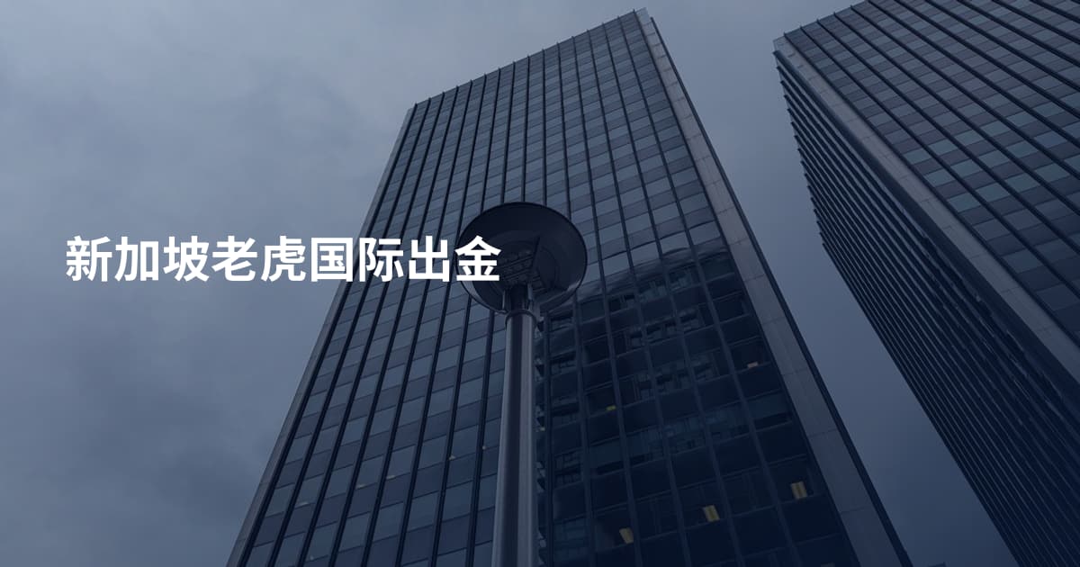 新加坡老虎国际出金