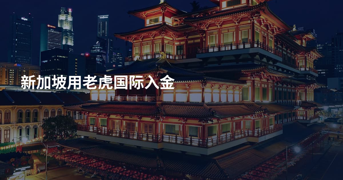 新加坡用老虎国际入金