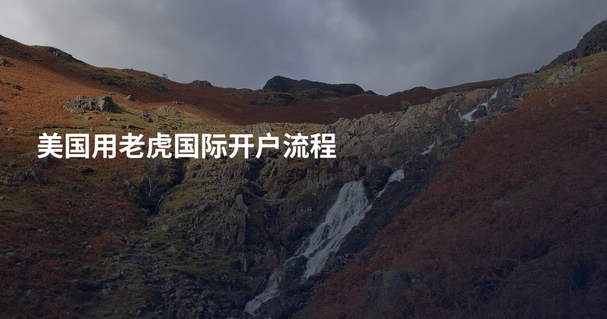 美国用老虎国际开户流程