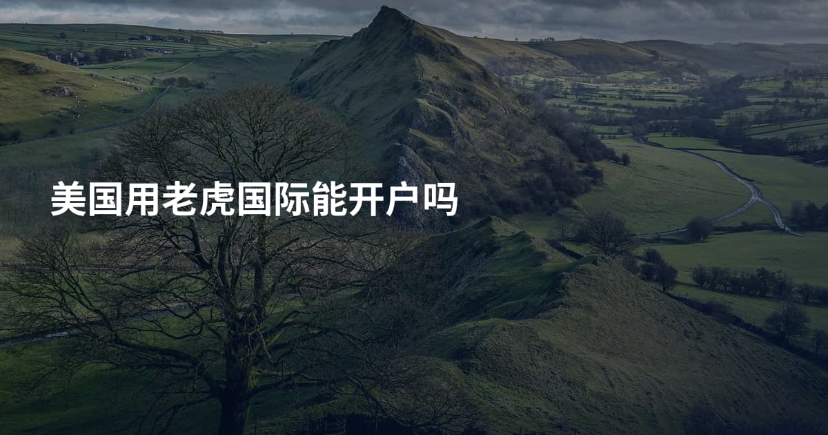 美国用老虎国际能开户吗