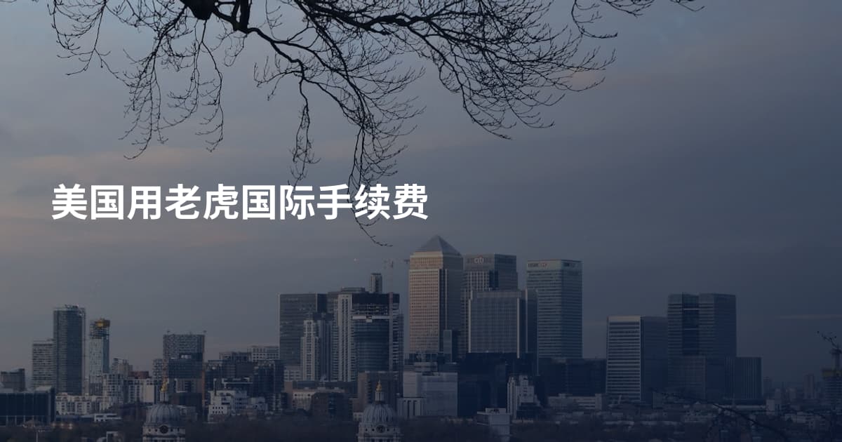 美国用老虎国际手续费