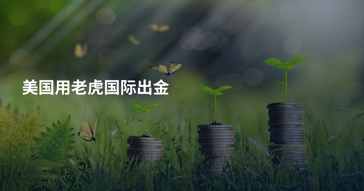 美国用老虎国际出金