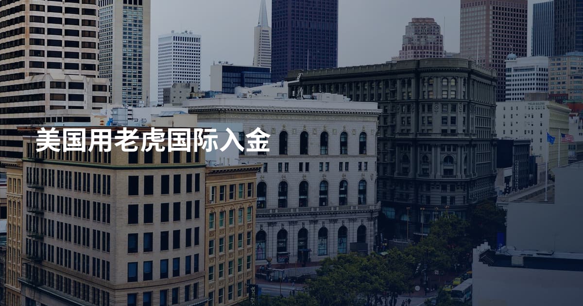 美国用老虎国际入金