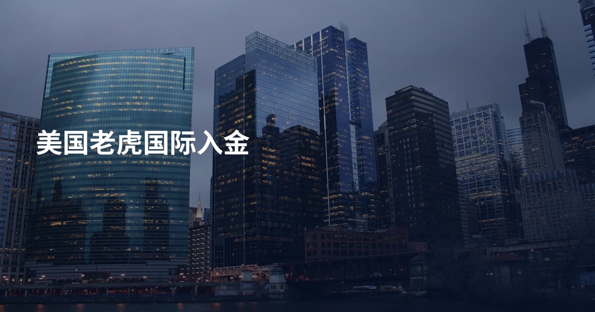 美国老虎国际入金