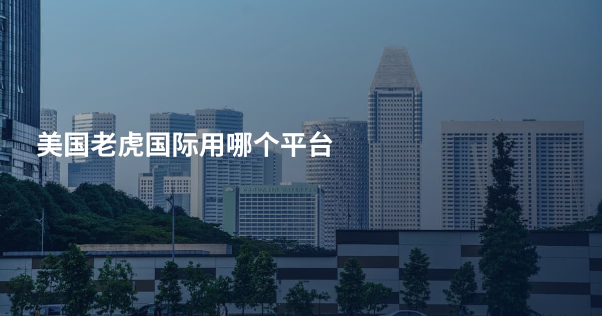 美国老虎国际用哪个平台