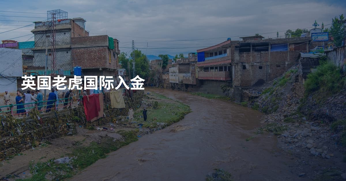 英国老虎国际入金