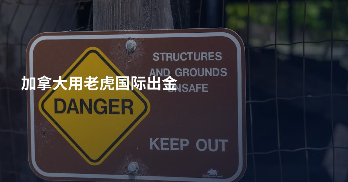 加拿大用老虎国际出金