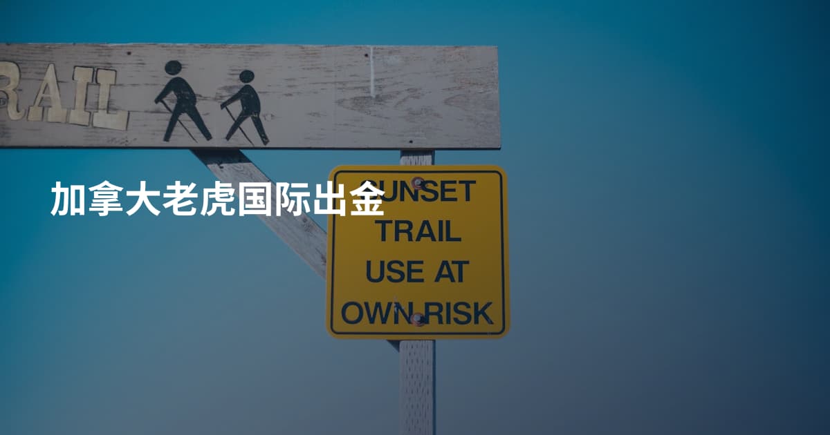 加拿大老虎国际出金