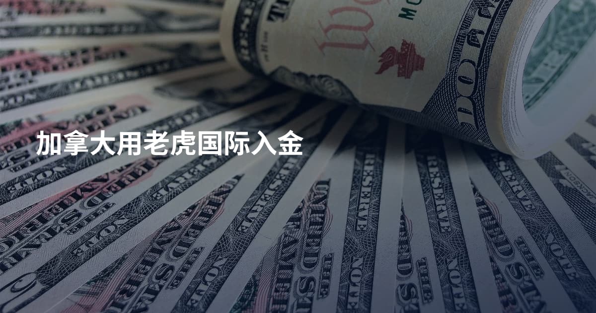 加拿大用老虎国际入金
