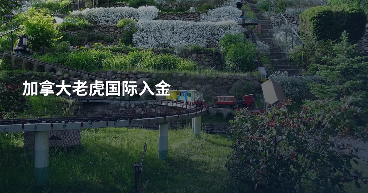 加拿大老虎国际入金
