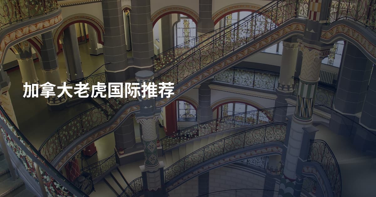 加拿大老虎国际推荐