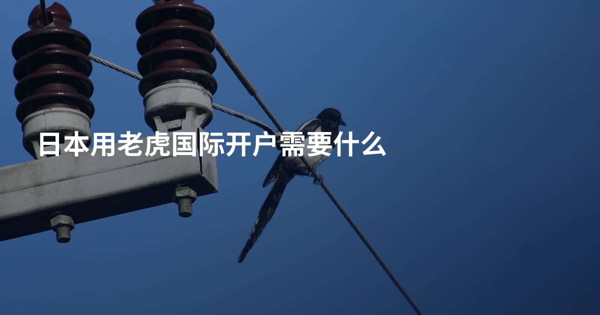 日本用老虎国际开户需要什么
